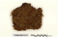 藏品(暗綠灰苔)的圖片